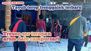 Download Tayub campursari Tresno sor teropan #Arum_dalu MP3