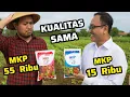 Lagu ‼️PUPUK MKP MAHAL‼️KITA BUAT MURAH‼️IRIT PUPUK Sampai Rp. 39.000,-‼️Begini Rahasianya‼️CARA CERDAS‼️