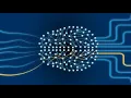 DL5 - Gradient Based Optimization in Deep Learning