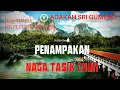 Download Lagu PENAMPAKAN NAGA TASIK CHINI | SRI GUMUM
