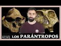 Download Lagu 🔹 Los PARÁNTROPOS | Las principales especies de homininos y etapas de la prehistoria