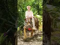 Download Lagu tiger 🐯sitting on a tiger🐅 #seventeen #kpop #hoshi #horanghae #eyesoftiger