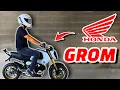 Honda Grom Review Watch this BEFORE YOU BUY a 125cc Beginner Bike