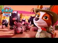 Tracker Melarikan Diri dari Hantaman Kerumunan! 🐘 | Valiente - Kisah Tracker | PAW Patrol