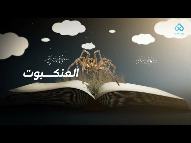 الحيوانات في القرآن | العنكبوت 03