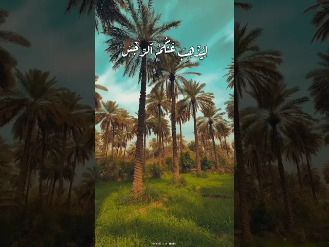 ⁣إِنَّمَا یُرِیدُ ٱللَّهُ لِیُذۡهِبَ عَنكُمُ ٱلرِّجۡسَ أَهۡلَ ٱلۡبَیۡتِ ..|| #عبد_الباسط_عبد_الصمد