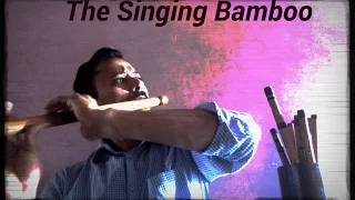 dafli wale dafli baja flute instrumental by alok kulshreshtha