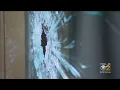 Bullet Strikes Corner Bakery Downtown