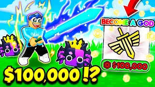 I Spent 100 000 To Become THE GOD RANK In Sword Fighters Simulator