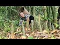 Download Lagu Cook bran, harvest bamboo shoots and sell them at the market | Tương Thị Mai