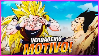 POR QUE O GOKU NÃO USOU A FASE 3 CONTRA O MAJIN VEGETA?