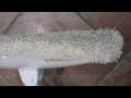 Bissel Power Fresh Steam Mop Pads Demo on How to Replace Mop Pad