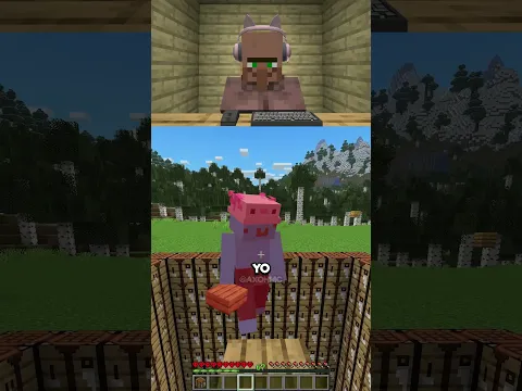 Revenge on Villager...