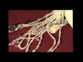 MEMORY ON ME - Naïka