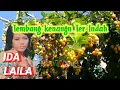 Download Lagu Tembang_ kenangan Terindah‼️ IDA LAILA_
