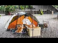 Download Lagu Camping in the Rain with My Dog | Cozy Solo Camping ASMR