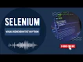 Visual Regression Testing with Selenium Python Detect UI Changes Automatically