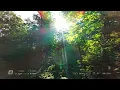 Download Lagu Dji Avata 2 | Forest \u0026 River Flight, With Head tracking