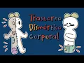 Trastorno Dismorfico Corporal
