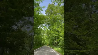 Pure Michigan M119