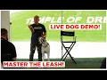 Watch This to Master the Leash Live Dog Demonstration