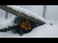 Download Lagu I Tried Surviving Alone in the Snow… (No Tent, No Tools)