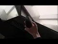 a 27g full-sized mouse
