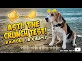Asti vs Food The Ultimate Crunch Test