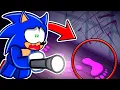 Download Lagu There’s Something Living In My House In Roblox!