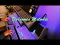 Lagu Dolannes Melodie - Organ \u0026 keyboard cover (chromatic)