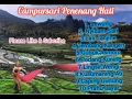 Download Lagu Campursari 2020 Penenang Hati