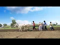 Download Lagu Krushi din