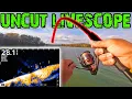 UNCUT LIVESCOPE BASS FISHING Watch It ALL GO DOWN LS FOOTAGE