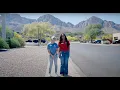 Experience VetCat Life A Virtual Tour of Our Oro Valley Campus