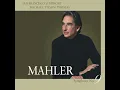 Symphony No. 9 in D Major: III. Rondo burleske
