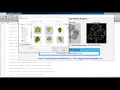 Vegetable Leaf Classification Using Deep Learning Vegetable Leaf Classification Using Matlab Code