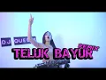 Download Lagu TELUK BAYUR Remix Dj Queens