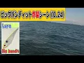 【ビッグバイト】シーバスを狂わせる魔法のルアーの動かし方!