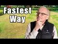 How to Revive a Chronically Ill Lawn the Fastest Way