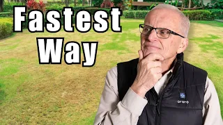 How to Revive a Chronically Ill Lawn the Fastest Way