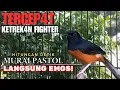 Download Lagu Murai Fighter KETREKAN KASAR Pendongkrak EMOSI - Efektif untuk Pancingan MURAI lain !! 4UTO RESPON 🔥
