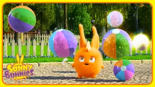 This Magic Flower Grants Wishes ✨ | Sunny Bunnies | Funny Cartoons For Kids