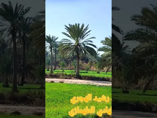 ⁣مرقد رشيد الهجري في الكفل