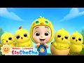 Download Lagu Anak Ayam yang Imut 🐣| Lagu Hewan Lucu | Lagu Ayam | Lagu Anak | LiaChaCha Bahasa Indonesia