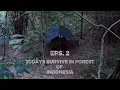 20hari survival di dalam hutan  memanfaatkan rebung sebagai sumber makanan EPS 2