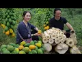 Lagu Harvest the stems and fruits of the papaya tree to prepare dishes according to traditional recipes.