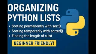 Organizing Python Lists Sorting Length and Avoiding Index Errors Beginner Guide