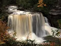 Environment of West Virginia Wikipedia article