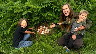 Hidden Egg Hunt Around Our Property
