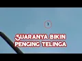 Download Lagu Riel suara elang